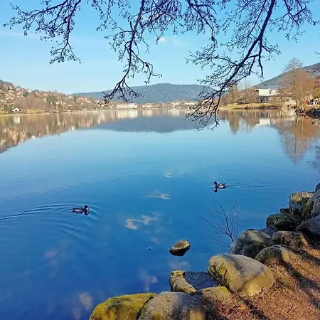 아파트 Au Petit Geromois 제라르메르