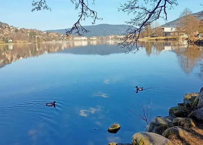 Apartmán Au Petit Geromois Gérardmer